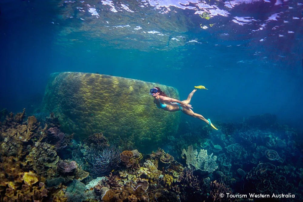 Woman snorkeling at coral bay