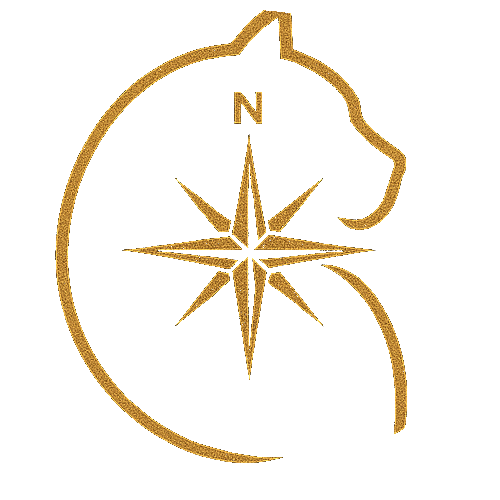 Curious Compass Collective cat and compass emblem